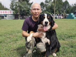 專業(yè)訓狗，成就非凡 成都勇軍訓犬基地的服務與價值