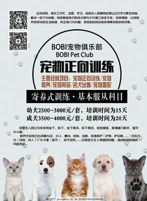 寵愛無限，服務無憂——新店開業(yè)，專為愛寵而來！